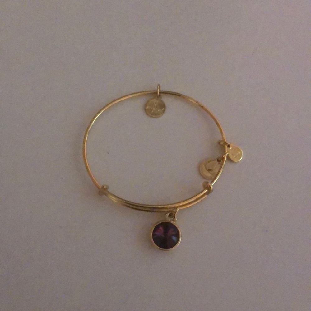 Alex and Ani Amethyst Bracelet